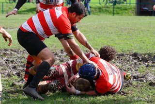 240225_b_010_6d_29165.jpg - JPEG - 213.5 ko - 1000×667 px