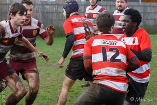 240225_b_041_6d_29175.jpg - JPEG - 153 ko - 1000×667 px