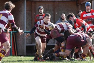 240225_b_047_r7_12962.jpg - JPEG - 161.9 ko - 1000×667 px