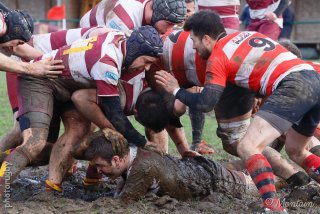 240225_b_064_6d_29208.jpg - JPEG - 197.8 ko - 1000×667 px