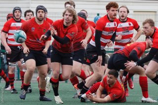 240310_d_007_r7_13542.jpg - JPEG - 186.7 ko - 1000×667 px