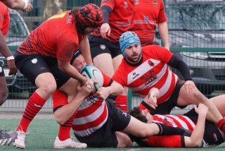 240310_d_014_r7_13551.jpg - JPEG - 178.6 ko - 1000×666 px