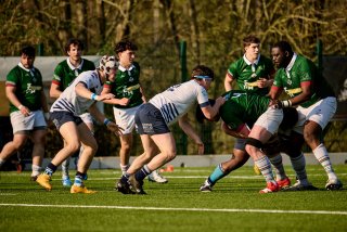 2416_jz1_3982.jpg - JPEG - 491.8 ko - 2000×1333 px