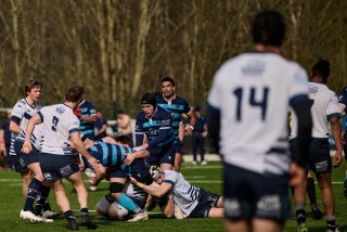 2461_jz2_1625.jpg - JPEG - 379.5 ko - 2000×1333 px