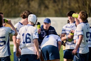 2470_jz1_2405.jpg - JPEG - 343.3 ko - 2000×1333 px