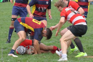 250921_d2_039_r7_42214.jpg - JPEG - 542.9 ko - 2000×1333 px