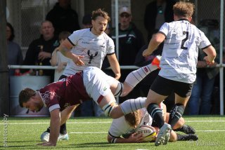 250928_d1_009_r6_13398.jpg - JPEG - 473.5 ko - 2000×1333 px