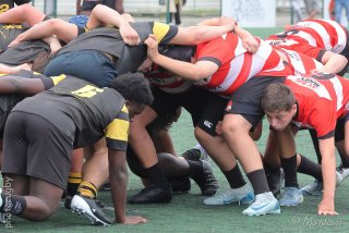 251011_u16_042_r7_43314.jpg - JPEG - 520.3 ko - 2000×1333 px