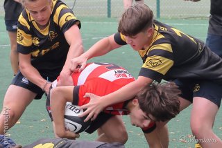 251011_u16_090_r7_43377.jpg - JPEG - 426.6 ko - 2000×1333 px