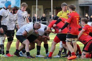 251102_d1_038_r6_15037.jpg - JPEG - 567.3 ko - 2000×1333 px