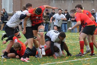 251102_d1_085_r6_15084.jpg - JPEG - 644.9 ko - 2000×1333 px