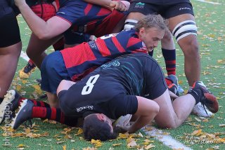 251109_d1_062_r6_15345.jpg - JPEG - 615.9 ko - 2000×1333 px