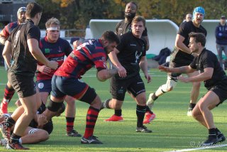 251109_d1_086_r7_46536.jpg - JPEG - 508.2 ko - 2000×1333 px