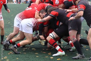 251116_d2_012_r6_15683.jpg - JPEG - 608.5 ko - 2000×1333 px