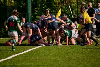 2530_jz2_1780.jpg - JPEG - 566.4 ko - 2000×1334 px