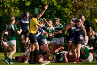 2533_jz2_1783.jpg - JPEG - 508.1 ko - 2000×1334 px