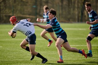 2600_jz1_7072.jpg - JPEG - 411 ko - 2000×1333 px