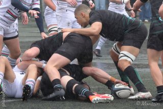 260222_d1_008_r7_51653.jpg - JPEG - 448.8 ko - 2000×1334 px