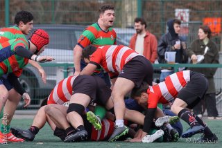 260301_d2_073_r6_20178.jpg - JPEG - 428.9 ko - 2000×1333 px