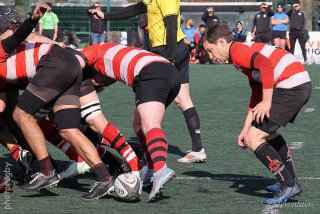 260315_d2_035_r6_21591.jpg - JPEG - 731.4 ko - 2000×1333 px