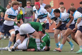 260412_d1_037_r7_58019.jpg - JPEG - 492.8 ko - 2000×1333 px