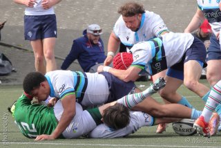 260412_d1_044_r7_58028.jpg - JPEG - 410.4 ko - 2000×1333 px