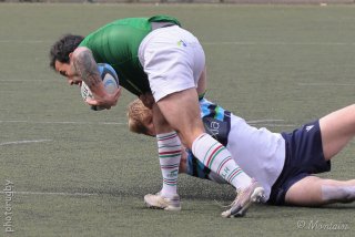 260412_d1_086_r7_58111.jpg - JPEG - 431.5 ko - 2000×1333 px