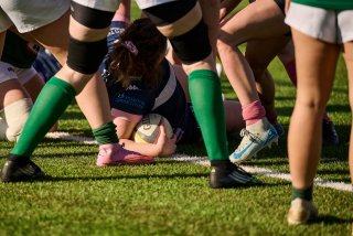 2631_jz1_3351.jpg - JPEG - 443.8 ko - 2000×1333 px