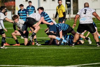 3010_jz2_3703.jpg - JPEG - 527.8 ko - 2000×1333 px