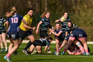 3023_jz1_2762.jpg - JPEG - 439.3 ko - 2000×1333 px