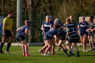 3055_jz1_2787.jpg - JPEG - 449.8 ko - 2000×1333 px