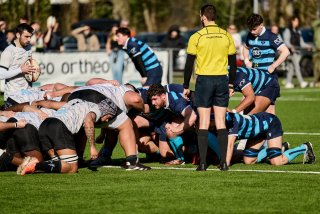 3058_jz2_3746.jpg - JPEG - 516.9 ko - 2000×1333 px