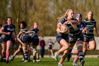 3073_jz2_5047.jpg - JPEG - 348.2 ko - 2000×1333 px