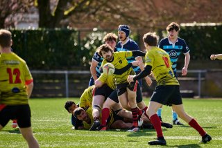 310_jz1_0179.jpg - JPEG - 467.9 ko - 2000×1333 px