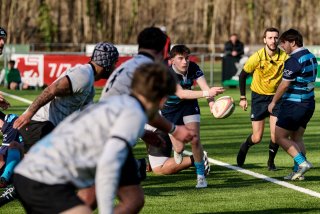 3161_jz2_3795.jpg - JPEG - 445.8 ko - 2000×1333 px