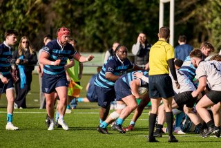 3234_jz1_2567.jpg - JPEG - 532.9 ko - 2000×1333 px