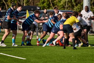 3245_jz1_2578.jpg - JPEG - 518.6 ko - 2000×1333 px