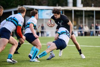 3392_jz2_3876.jpg - JPEG - 415.8 ko - 2000×1333 px