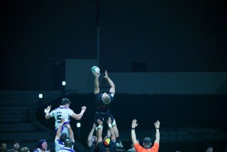 339a9185.jpg - JPEG - 296.7 ko - 2000×1333 px