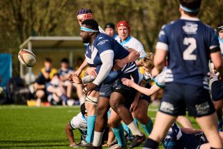 3602_jz1_7572.jpg - JPEG - 387.8 ko - 2000×1333 px