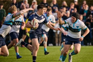 3956_jz1_7783.jpg - JPEG - 386.2 ko - 2000×1333 px