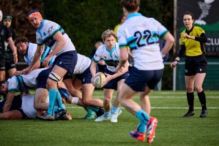 4031_jz1_3112.jpg - JPEG - 450.7 ko - 2000×1333 px