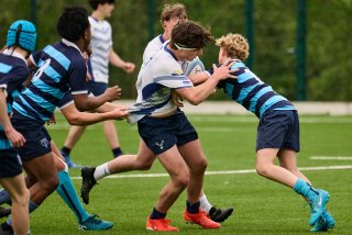 4052_jz1_7814.jpg - JPEG - 419.2 ko - 2000×1334 px