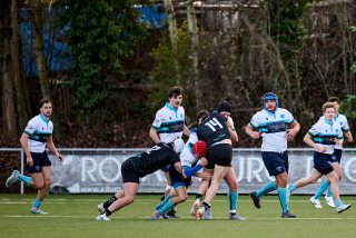 4150_jz1_3225.jpg - JPEG - 436.9 ko - 2000×1333 px