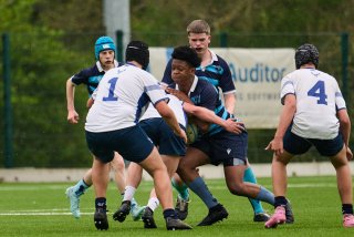 4225_jz1_7942.jpg - JPEG - 372.2 ko - 2000×1332 px