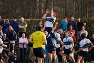 4279_jz1_7939.jpg - JPEG - 386.5 ko - 2000×1333 px