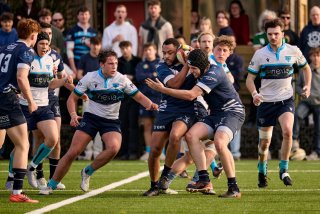 4296_jz1_7956.jpg - JPEG - 498.1 ko - 2000×1333 px