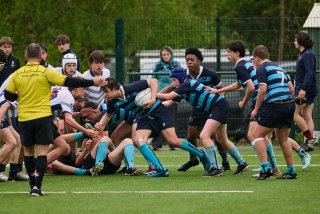 4431_jz1_8067.jpg - JPEG - 495.1 ko - 2000×1333 px