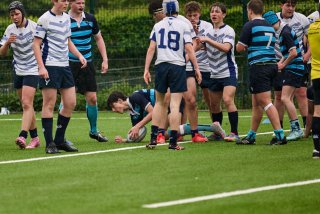 4440_jz1_8076.jpg - JPEG - 488.9 ko - 2000×1334 px