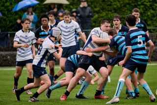 4461_jz1_8096.jpg - JPEG - 527.9 ko - 2000×1333 px